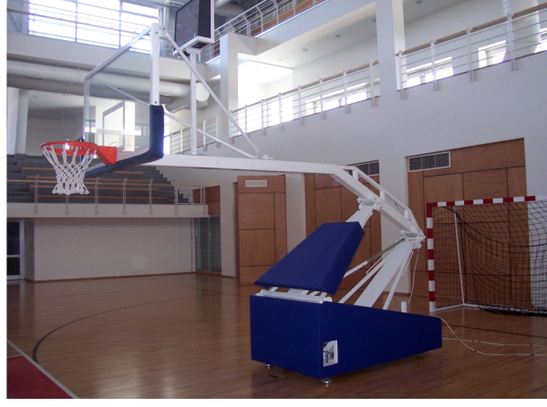 Basketball Hoop Standard Model NBA.