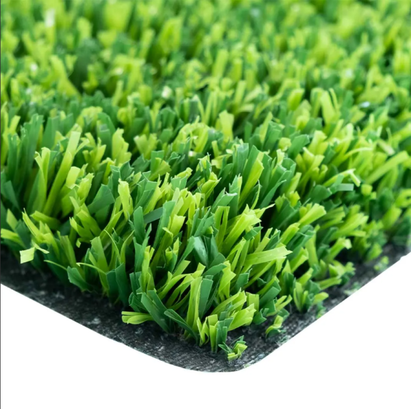 Ege Grass - Image 3