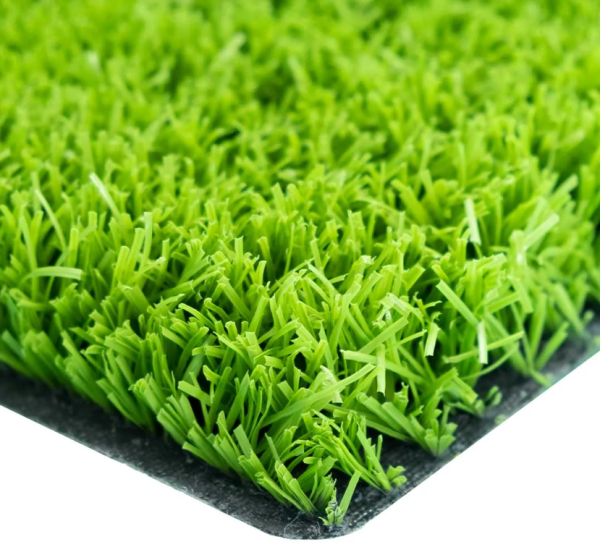 Petunya Grass - Image 3