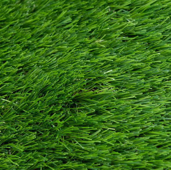 Begonya Grass - Image 3