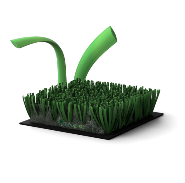 Begonya Grass