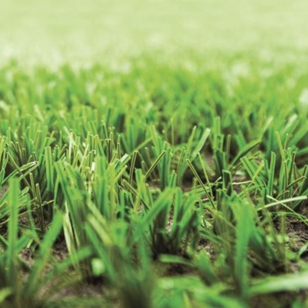55mm Hybrid Turf - Image 2