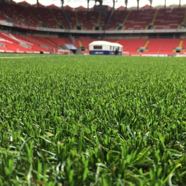 55mm Hybrid Turf - Image 3