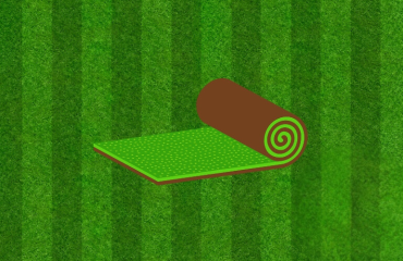 grass