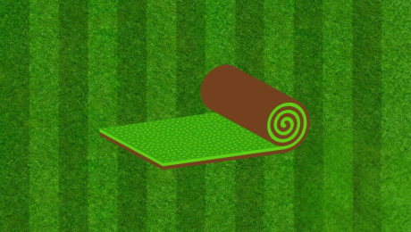 grass
