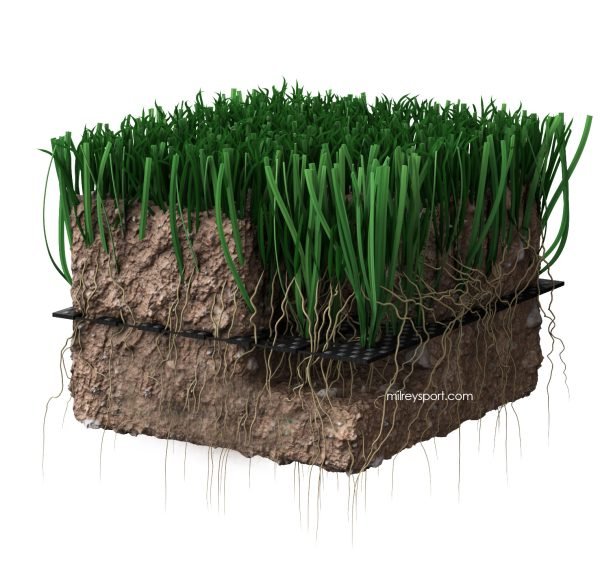 Hybrid turf