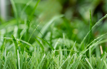 artificial turf balkony
