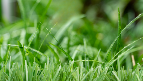 artificial turf balkony