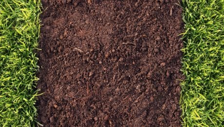 Artificial Grass Advice on Soil