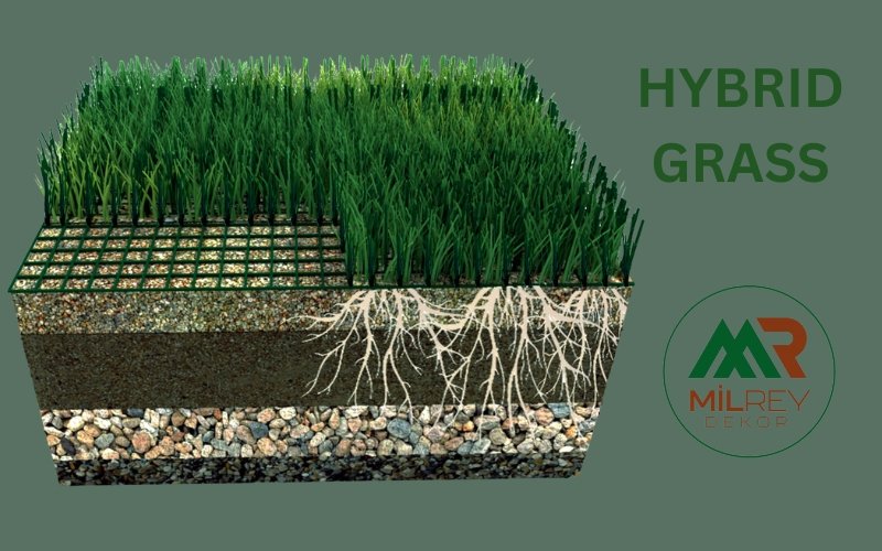What are the Advantages of Using Hybrid Grass on Football Fields