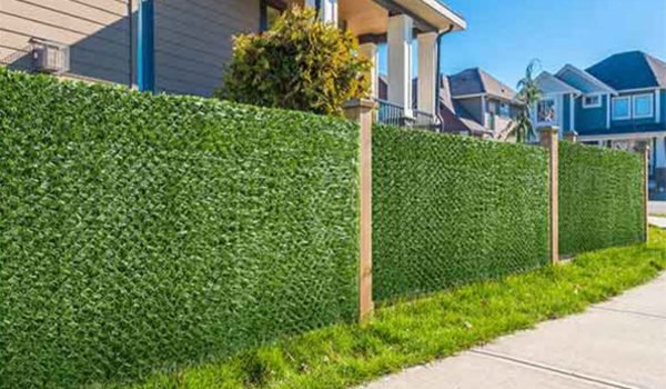 grass fence