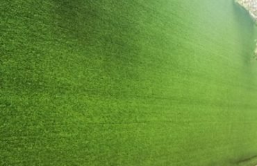 Advantages of Artificial Grass Fence Panels