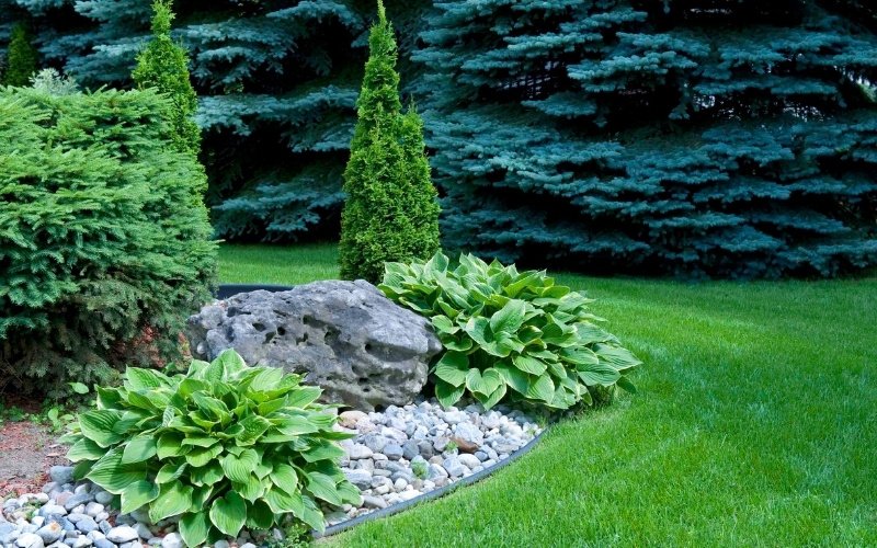 Maintenance and Seasonal Protection